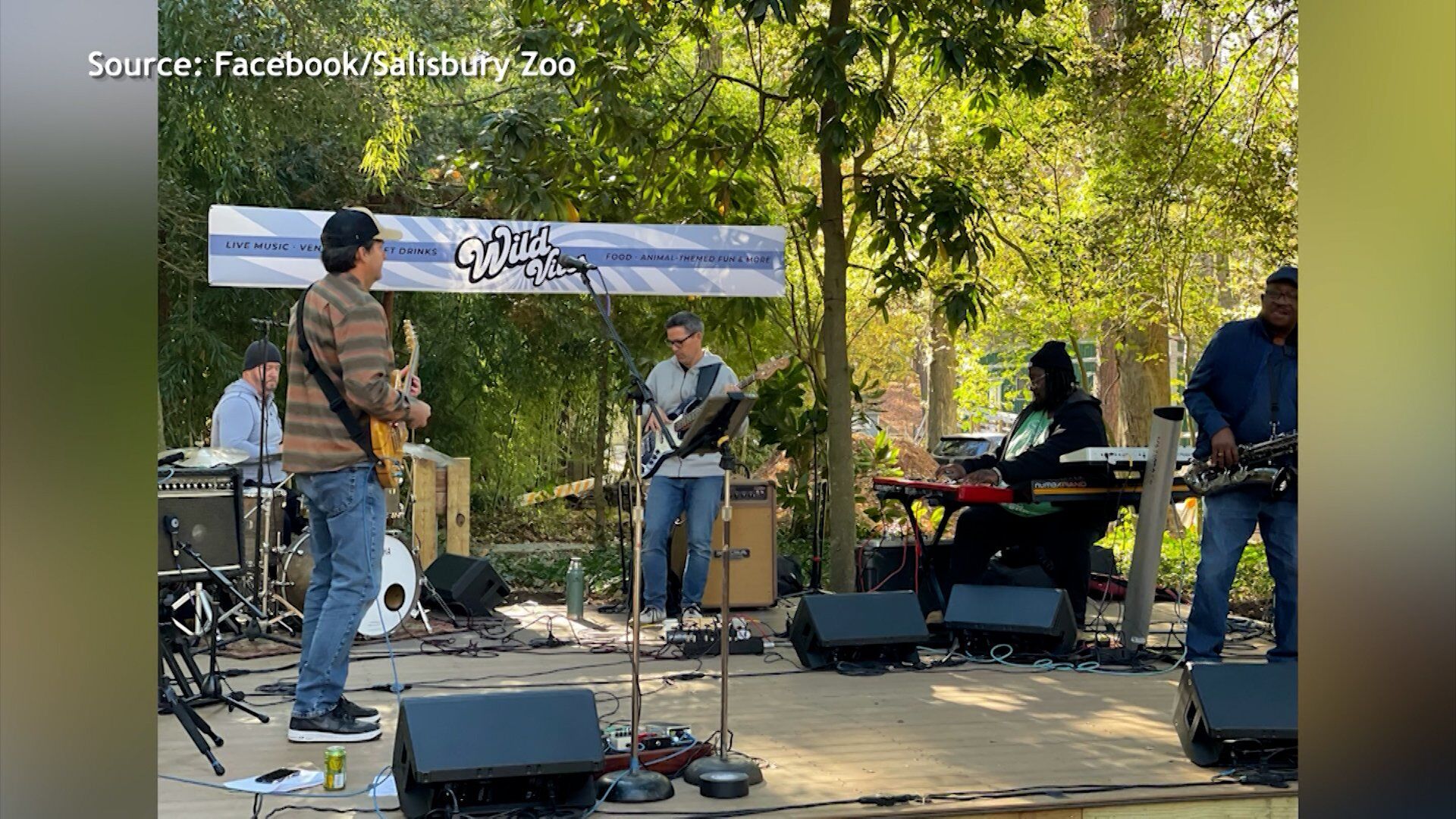 The Salisbury Zoo has Made Countless Improvements and is Bringing Back their Wild Vibes Festival